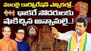 Annamalai Stuns Thackeray Brothers In The BMC Elections | Nationalist Hub