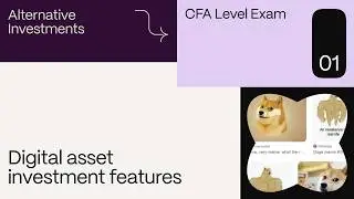 Digital asset investment features (for the CFA Level 1 exam)