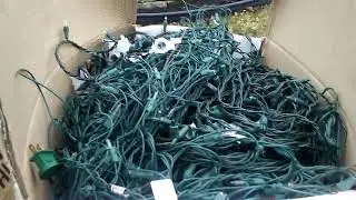 Early Morning Garbage Picking *YAWN* Scrap, Foreign Pioneer Reciever, Tree