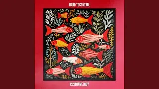 Hard to Control