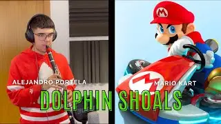 Dolphin Shoals | Mario kart lick | Clarinet cover