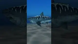 Fish eat Fish Size Comparison #megalodon #evolution #shark