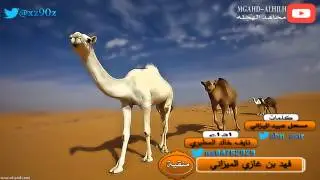 منقية - فهد غازي الميزاني || كلمات - مسحل الميزاني || اداء - نايف خالد || تصميم - مجاهدالهجله