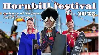 Hornbill Festival Nagaland 2025 Vlog | My First Visit, Culture, Dance & Tribal Life