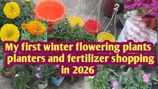 My first shopping of winter flowering plants , planters and fertilizer in 2026