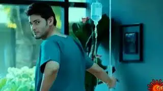 If Khaleja WAS A Horror Film? | The Glamorous Lord| T-Rex Agencies