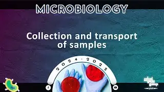 Pract 2: Collection and transport of samples; Microbiology