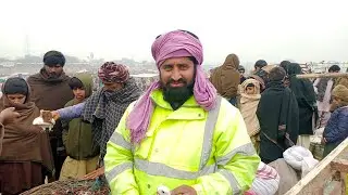 Tuesday pigeons Market Arshee pigeons Sherazi Kabutar Pull Qamber kabootar Mandi DGK Gola Kabutar