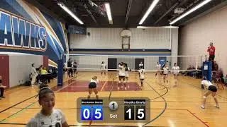 Gravity Vs Shockwave Sharks Set 1