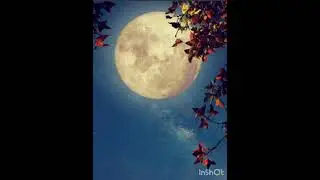 Autumn nights by Michael Thunderhawk 