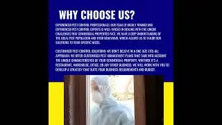 Your Trusted Partner For Commercial Pest Control Ryde - Killex Pest Control