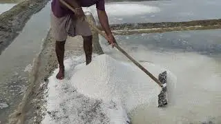 Salt Making Process in Tamil