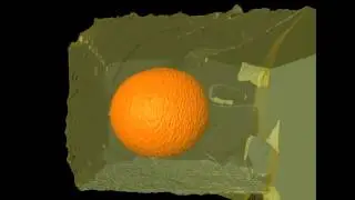 Multimodal correlative microscopy - finding centrioles in starfish egg cell