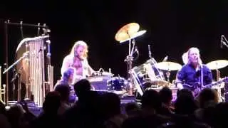 Swans, full set 5of5 