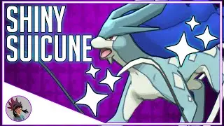 Hey Look. A Shiny Suicune.