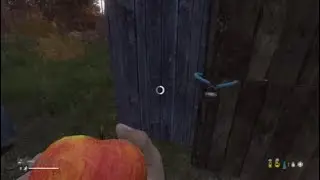 Playing Dayz for the first time (First Video)