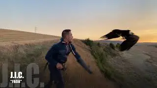 Chamois and roe deer Gopro on board (2160p)