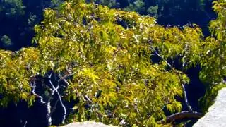 The Rock Lookout, Mulgoa, NSW, Australia