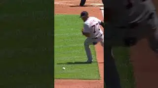 Nothing beats a good bunt. 😍
