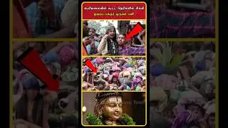 Sabarimala Latest News Today | Sabarimala News | Sabarimala Crowd Today | Sabarimala Rush | #shorts