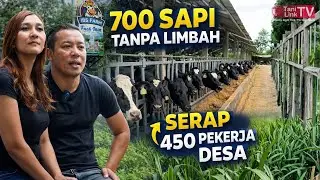 Kompaknya Pasutri Bangun Peternakan Terintegrasi, Kelola 700 Sapi Tanpa Limbah!
