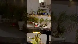 Solar Light Repair | Easy DIY Trick #gardenlights #ecofriendly