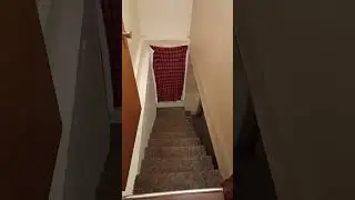 Day 431 of Dropping sans down the stairs until Deltarune Chapter 3 releases #undertale #deltarune