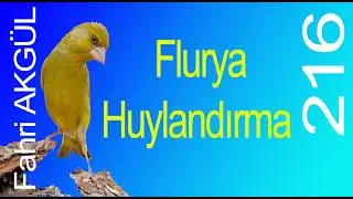 Fahri AKGÜL - Flurya Huylandırma 216