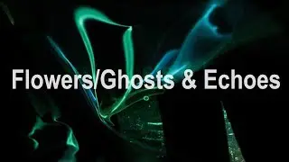 Flowers/Ghosts & Echoes