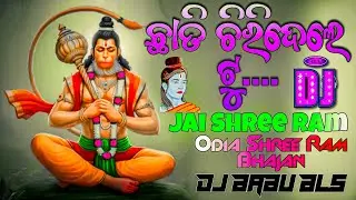Chati Chiri Deli Tu Odia Song Dj | Odia Shree Ram Hanuman Bhajan | Dj Babu Bls