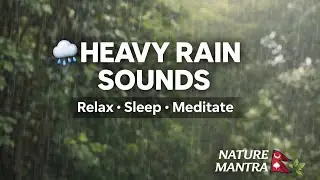 Peaceful Rain in Nepal Forest 🌿 | Deep Sleep & Relaxation Sounds #rain #rainforsleep 