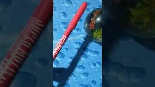 Teenager's Make-up kit under 150rs. #shorts #makeupkit #shortvideos