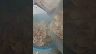 machas vaporadas