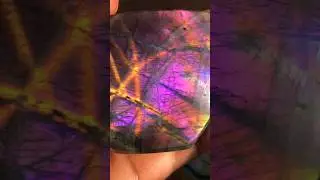 Let your colours shine