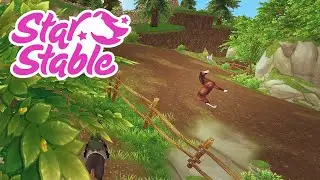 Some Star Stable Bugs