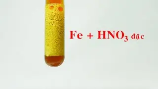 Fe + HNO3 đặc. Iron tác dụng với nitric acid đặc