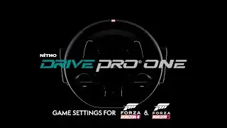 Nitho Drive Pro ONE - Forza Horizon 4 and Forza Horizon 5 in-game PC D-input setup