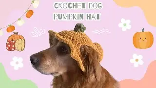 Crochet Fall Pumpkin Hat for dog in Under 45 Minutes!