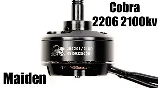 Cobra 2206 2100 Maiden