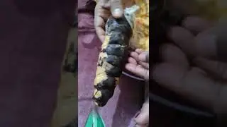 Chocolate cream roll 🥐🥐 👌🍫
