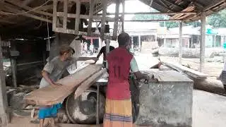 Thin & Straight Slice Tree Cutting Master | Best Quality Wood Cutting Master | Skills of Sawmill