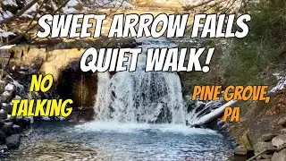 ❄️🌲 Peaceful Winter Hike at Sweet Arrow Falls | Pine Grove, PA No Talking | Rural, PA 🌊✨