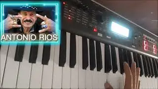 SAMPLES GRATIS DE 