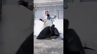 Дичь от Воуба
