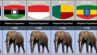Elephant population by country 2023