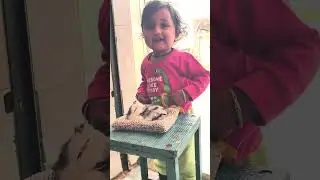 Baby&rsquo;s First Reaction to Cute Sleeping Cat Toy 😍 | Baby Laughing Shorts