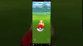 Cubone and Sandshrew