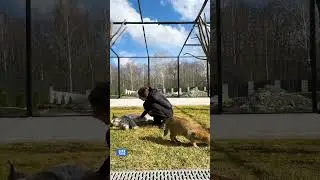 Чаузи Малой ответственно подходит к съемкам 😹