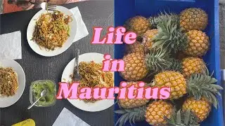 Mauritius vlog | local food, gym, shopping & scenic drives 🇲🇺🌴🐝