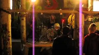 The Assteroids - treenit